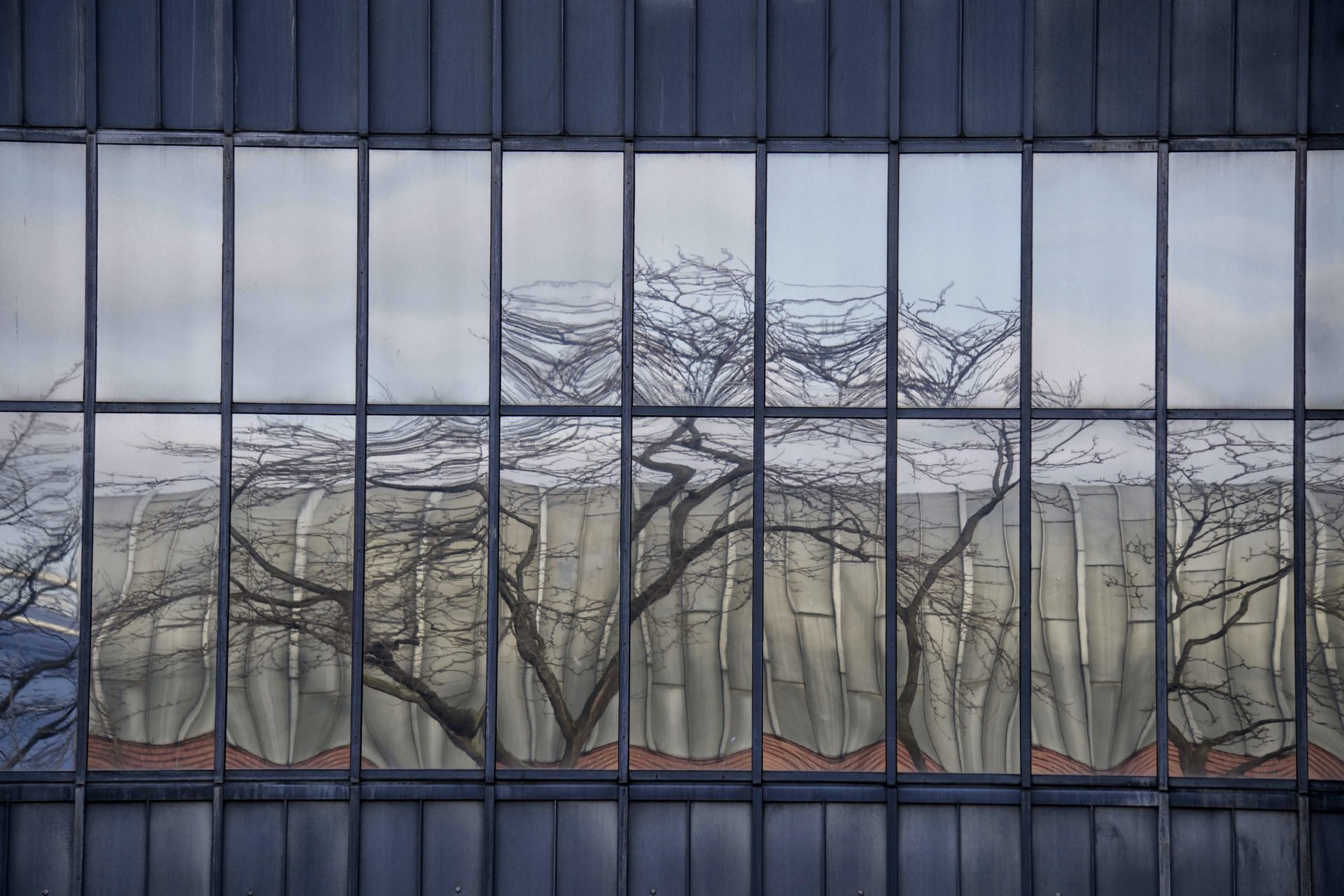 placeholder image-sq