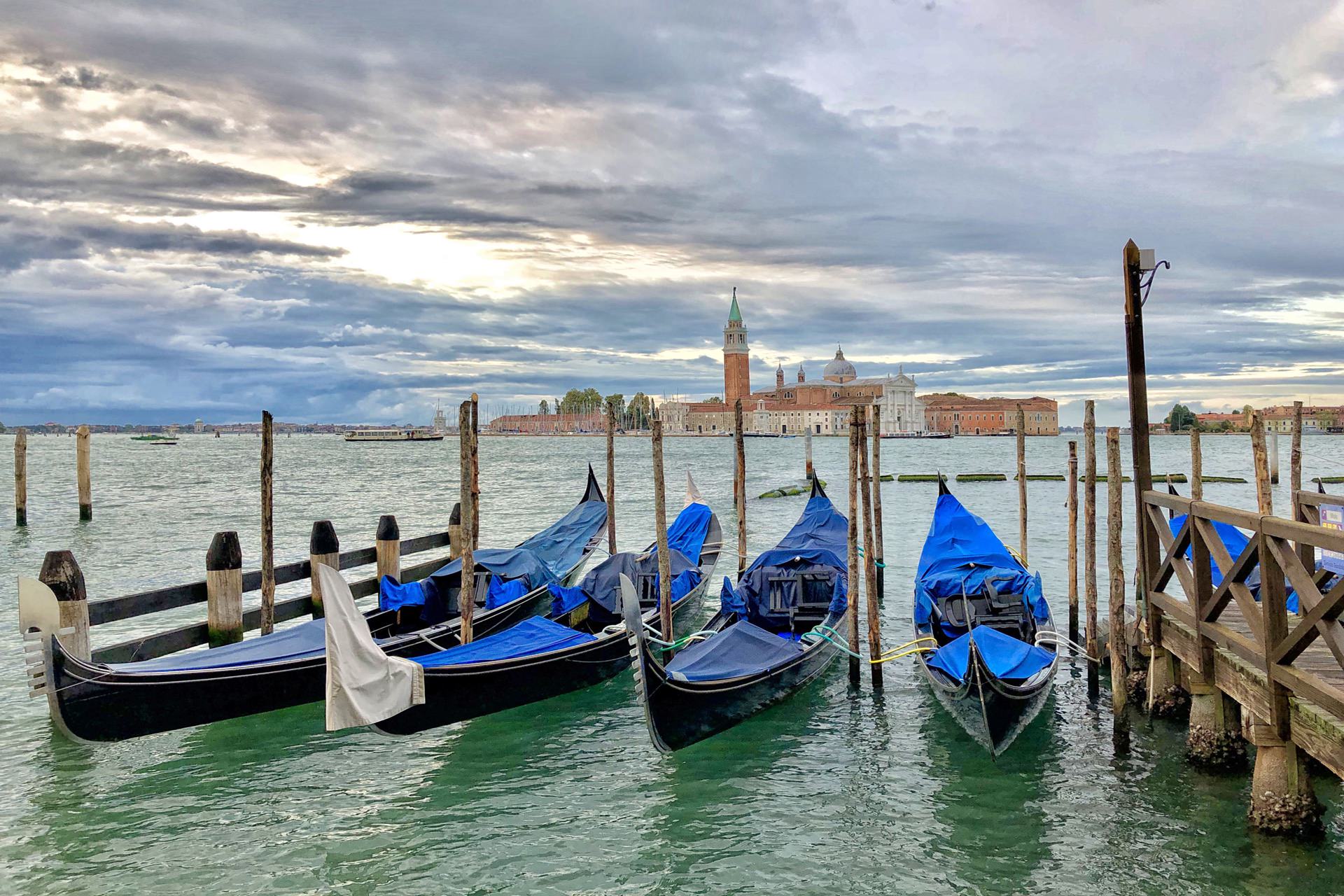 placeholder image-sq